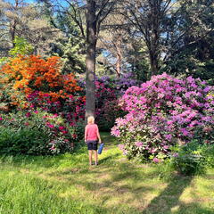 23-06-03 17-06-40 5816